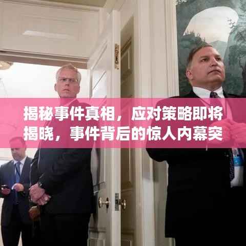 揭秘事件真相，应对策略即将揭晓，事件背后的惊人内幕突发声明！