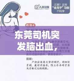 东莞司机突发脑出血，生命的脆弱呼唤社会关怀与关注