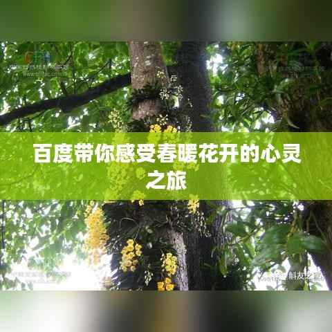 百度带你感受春暖花开的心灵之旅