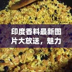 印度香料最新图片大放送,魅力之旅,一览香料世界!