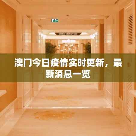 澳门今日疫情实时更新，最新消息一览