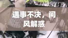 遇事不决，问风解惑