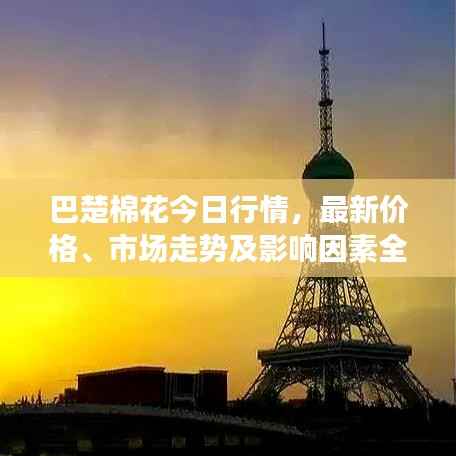 zhanchiyufei 第4页