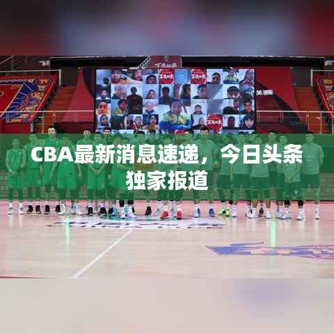 CBA最新消息速递，今日头条独家报道