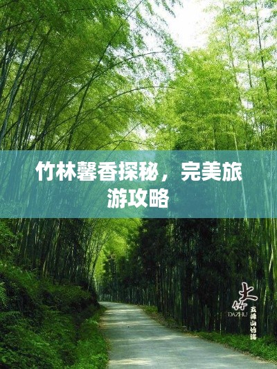 竹林馨香探秘，完美旅游攻略