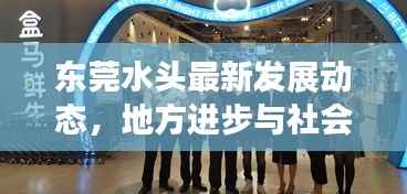 东莞水头最新发展动态，地方进步与社会焦点一网打尽