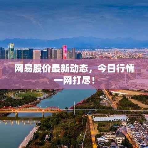 网易股价最新动态，今日行情一网打尽！