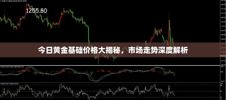 今日黄金基础价格大揭秘，市场走势深度解析